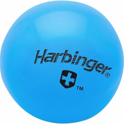 3 lb Weighted Fitness Ball